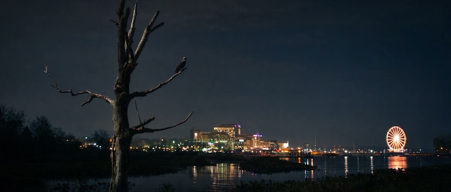 A dead tree against the lights of the waterfront at night