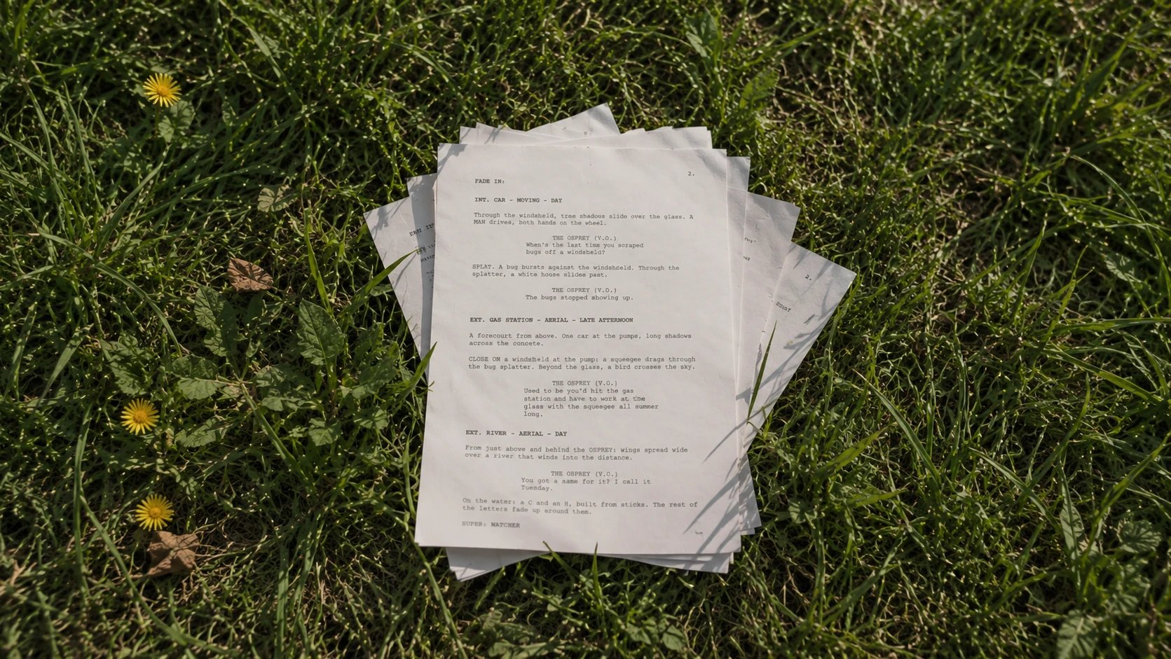 The pages of the WATCHER script fanned out on the grass