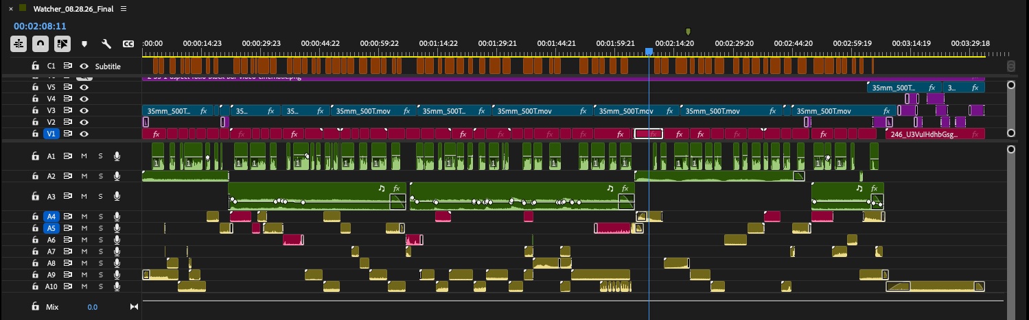 Final Premiere Pro timeline with picture, grain, caption, and ten audio tracks